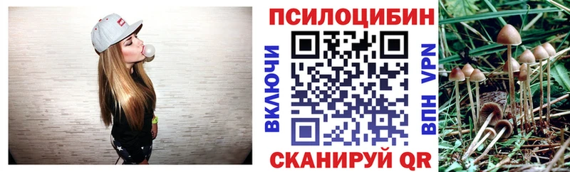 Галлюциногенные грибы GOLDEN TEACHER наркота Михайловск